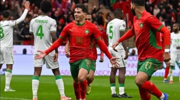 مواجهة قوية: القنوات الناقلة لمباراة المغرب والكاميرون بربع نهائي الأمم الإفريقية والتشكيل المتوقع